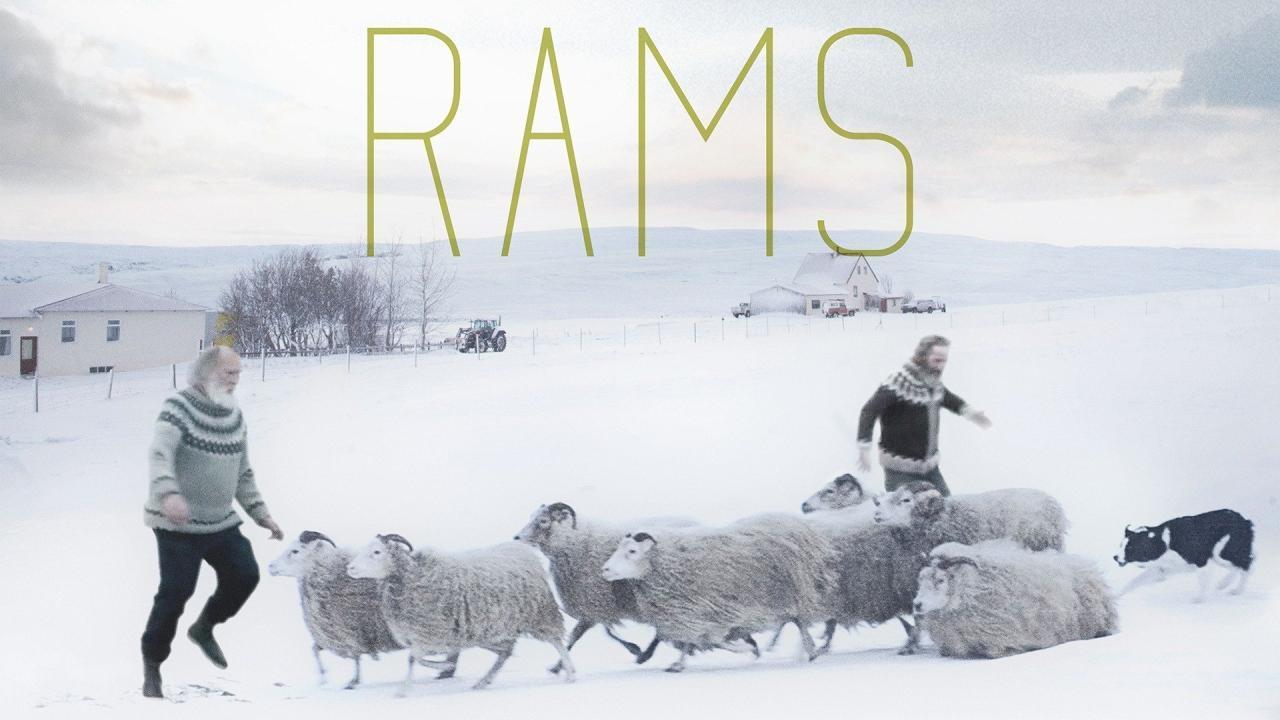 فيلم Rams 2015 مترجم كامل بجودة HD