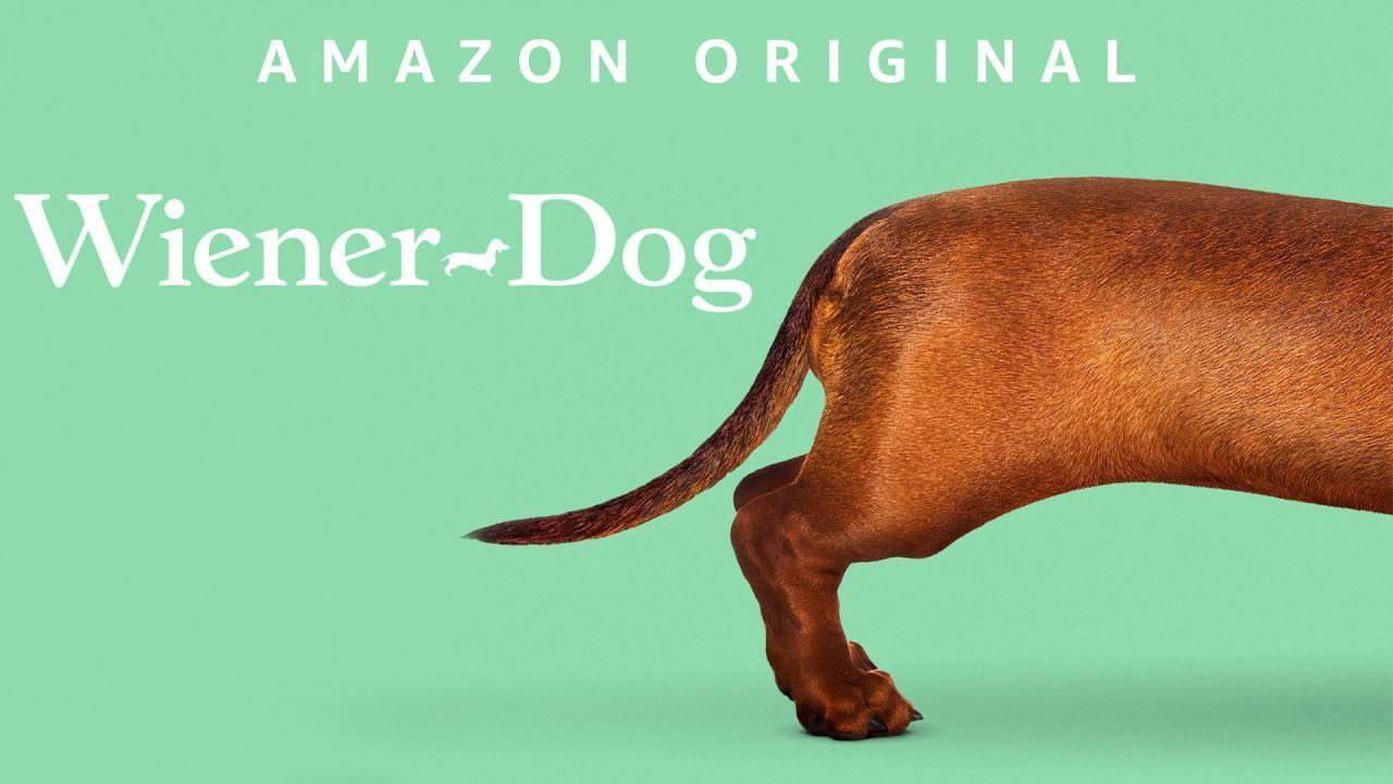 فيلم Wiener-Dog 2016 مترجم كامل بجودة HD