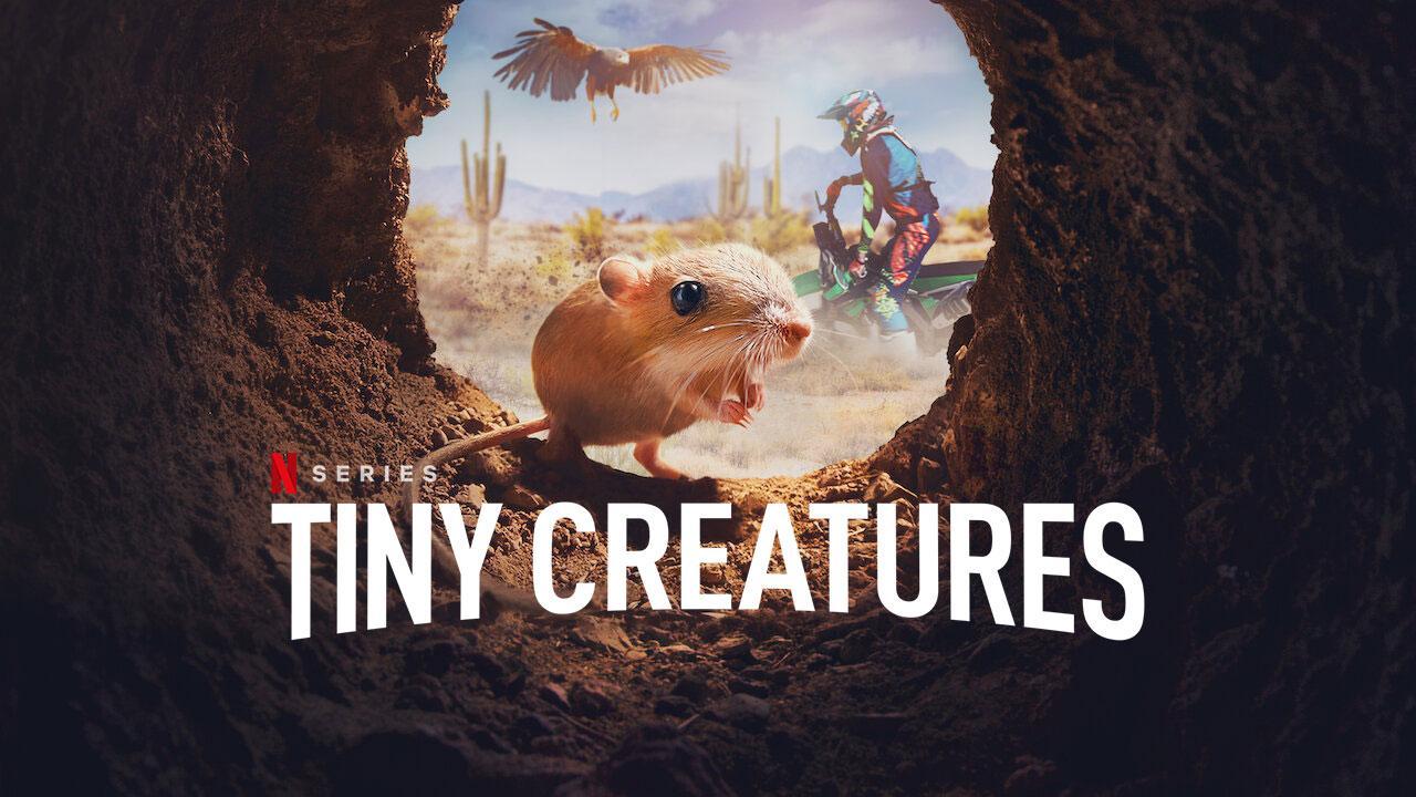 مسلسل Tiny Creatures الموسم الاول الحلقة 2 الثانية مترجمة