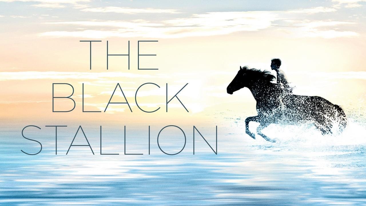 فيلم The Black Stallion 1979 مترجم كامل HD