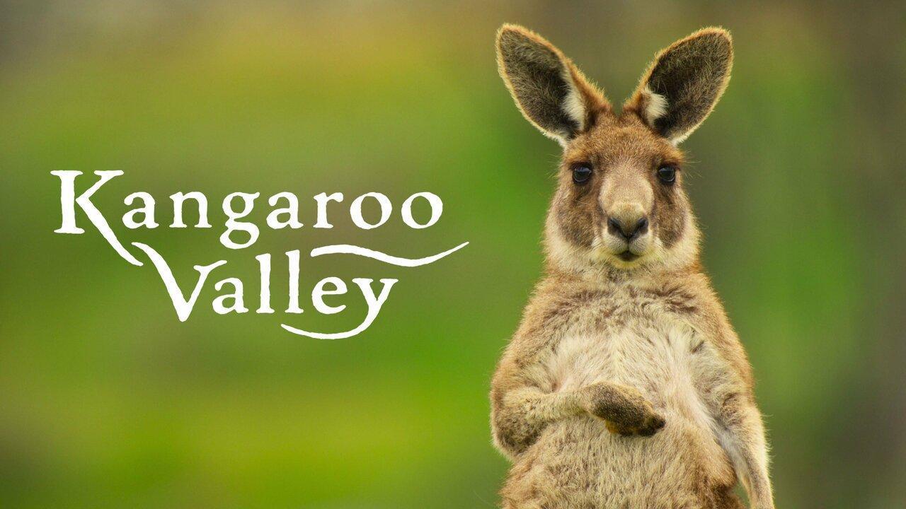 فيلم Kangaroo Valley 2022 مترجم HD كامل