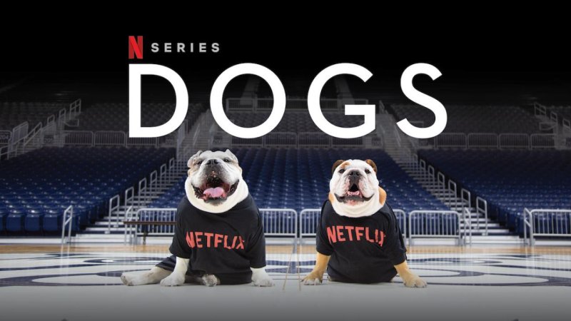 مسلسل Dogs الموسم الثاني الحلقة 1 الاولي مترجمة