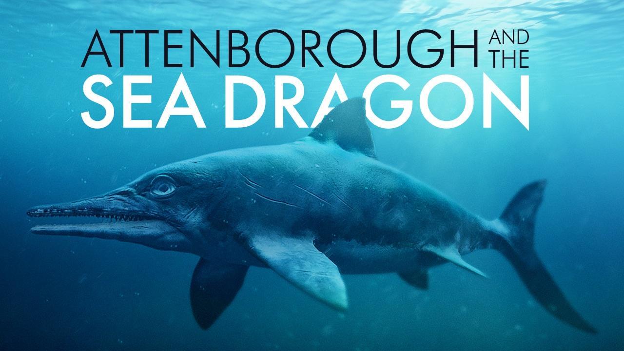 فيلم Attenborough And The Sea Dragon 2018 مترجم كامل HD