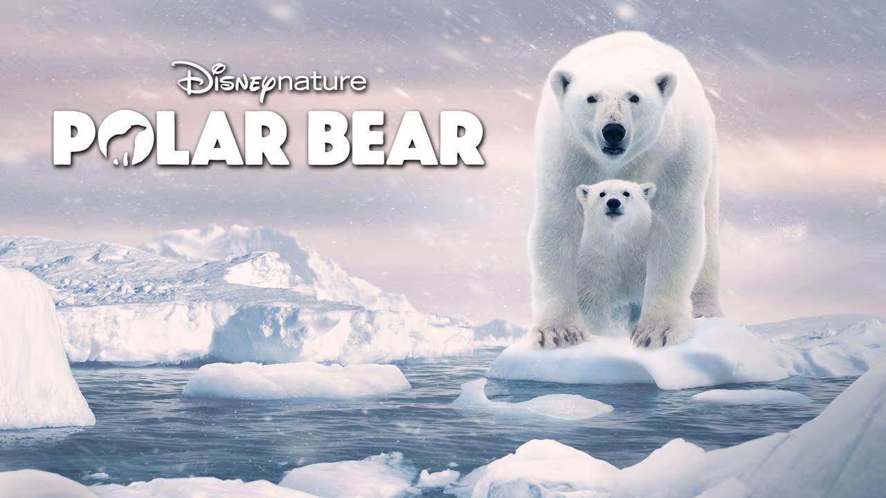 فيلم Polar Bear 2022 مترجم كامل HD