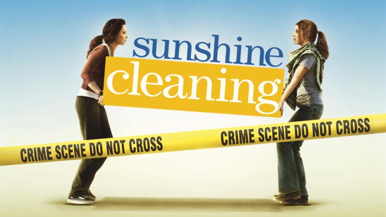 فيلم Sunshine Cleaning 2008 مترجم كامل HD