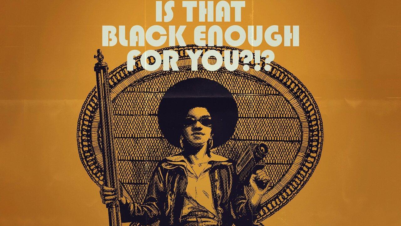 فيلم Is That Black Enough for You?!? 2022 مترجم كامل HD