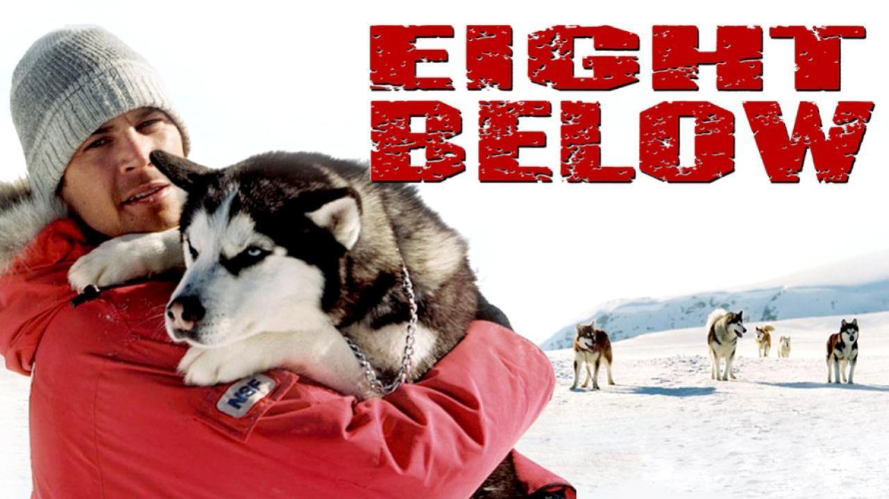 فيلم Eight Below 2006 مترجم كامل HD