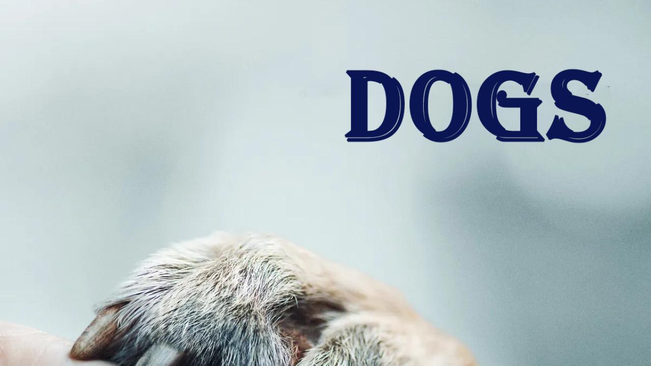 مسلسل Dogs الموسم الاول الحلقة 5 الخامسة مترجمة