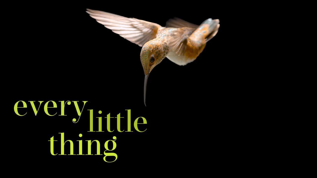 فيلم Every Little Thing 2024 مترجم كامل HD