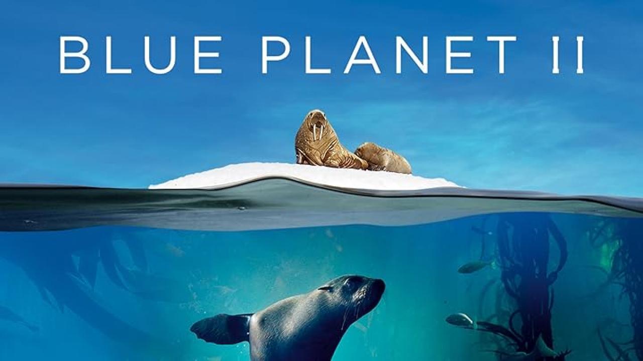 مسلسل Blue Planet II الموسم الاول الحلقة 7 السابعة مترجمة والاخيرة