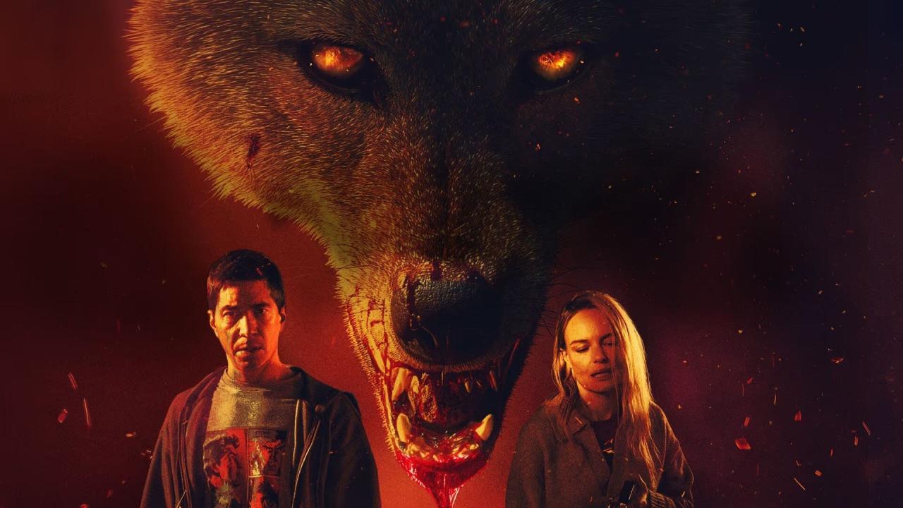 فيلم Coyotes 2025 مترجم كامل بجودة عالية HD