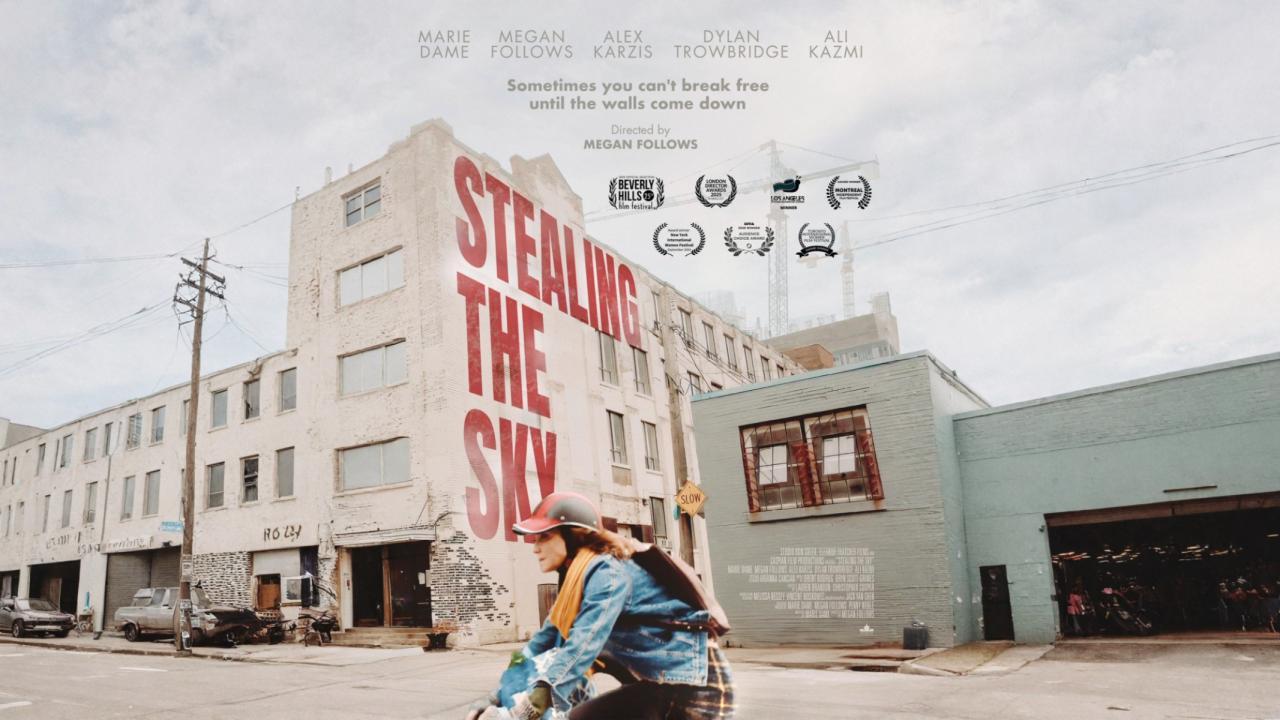 فيلم Stealing the Sky 2025 مترجم كامل بجودة عالية HD