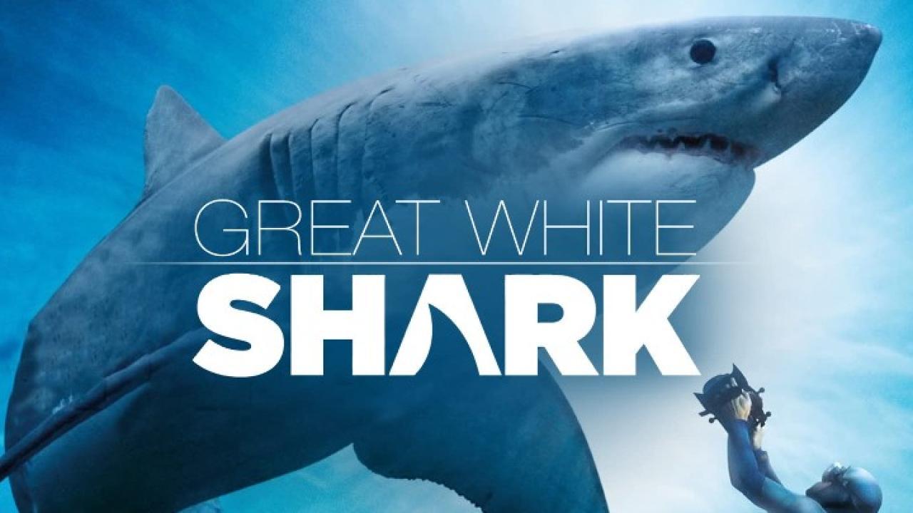 فيلم Great White Shark 2013 مترجم كامل HD