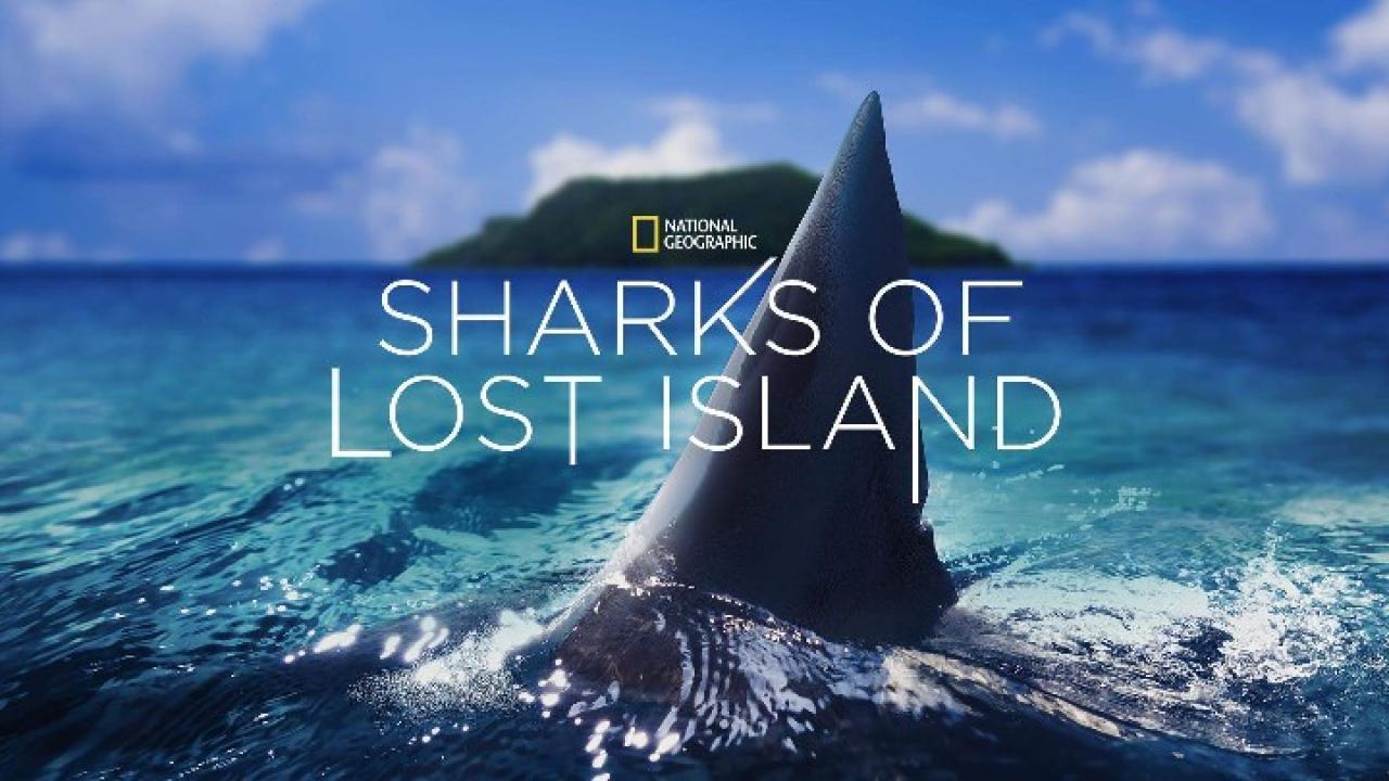 فيلم Sharks Of Lost Island 2013 مترجم كامل HD