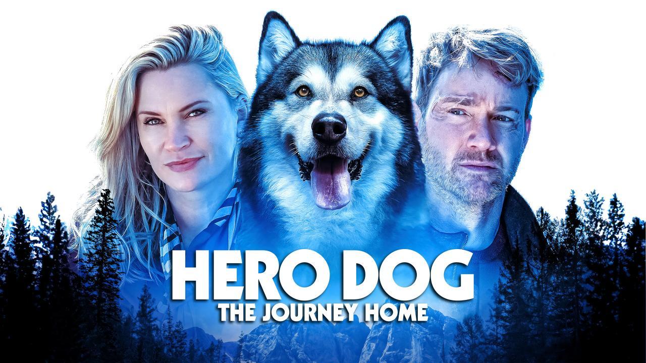 فيلم Hero Dog: The Journey Home 2021 مترجم كامل HD