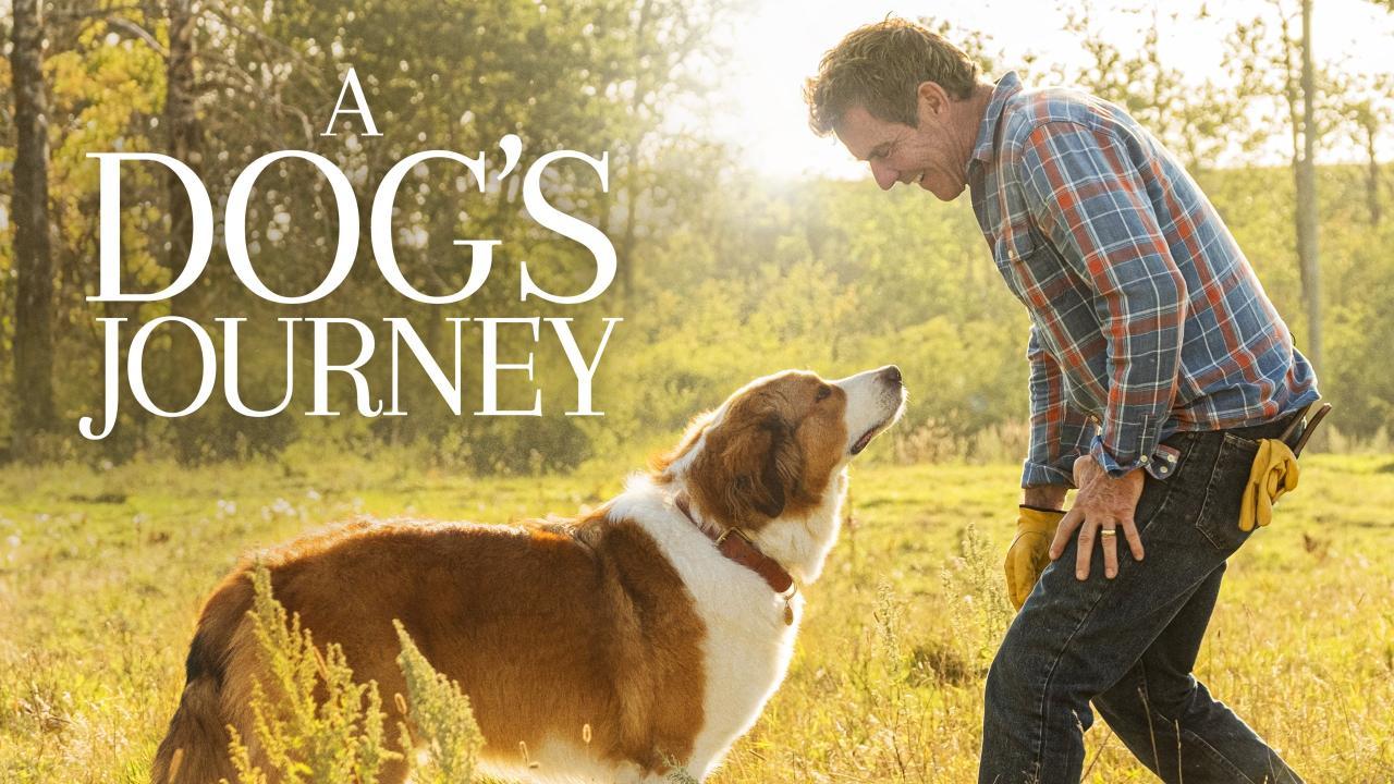 فيلم A Dog's Journey 2019 مترجم كامل HD